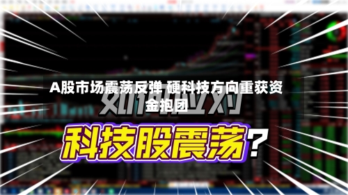 A股市场震荡反弹 硬科技方向重获资金抱团-第2张图片