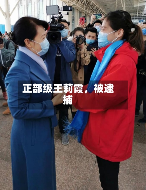 正部级王莉霞，被逮捕-第2张图片