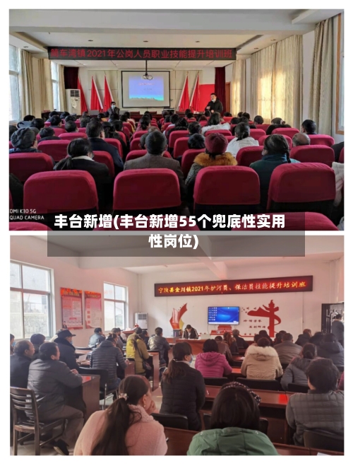 丰台新增(丰台新增55个兜底性实用性岗位)-第2张图片