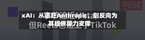 xAI：从追赶Anthropic	，到反向为其提供算力支撑-第2张图片