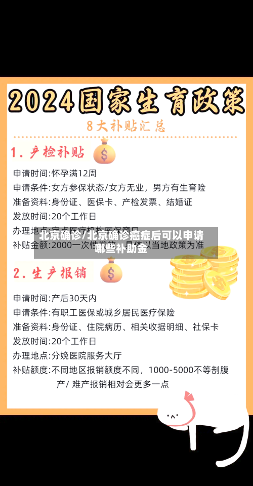 北京确诊/北京确诊癌症后可以申请哪些补助金
