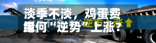 淡季不淡，鸡蛋费用缘何“逆势	”上涨？-第3张图片