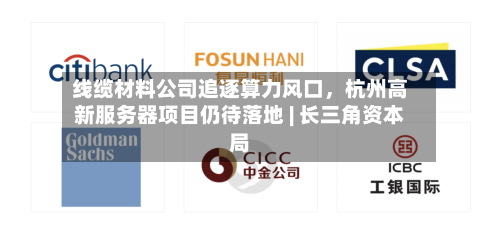 线缆材料公司追逐算力风口，杭州高新服务器项目仍待落地 | 长三角资本局-第2张图片