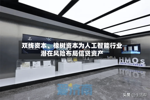 双线资本、橡树资本为人工智能行业潜在风险布局信贷资产-第2张图片