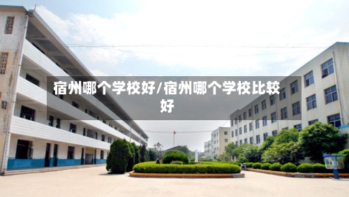 宿州哪个学校好/宿州哪个学校比较好