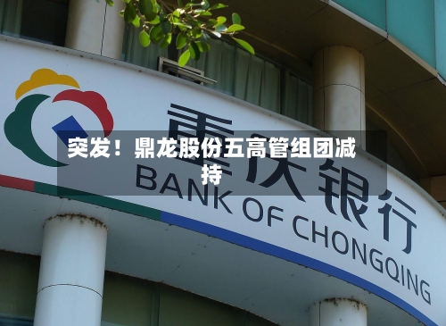突发！鼎龙股份五高管组团减持