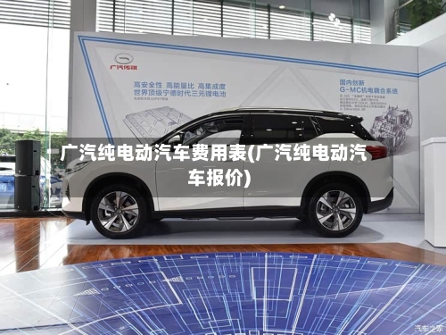 广汽纯电动汽车费用表(广汽纯电动汽车报价)-第2张图片