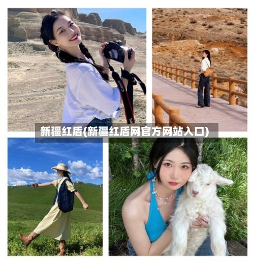 新疆红盾(新疆红盾网官方网站入口)