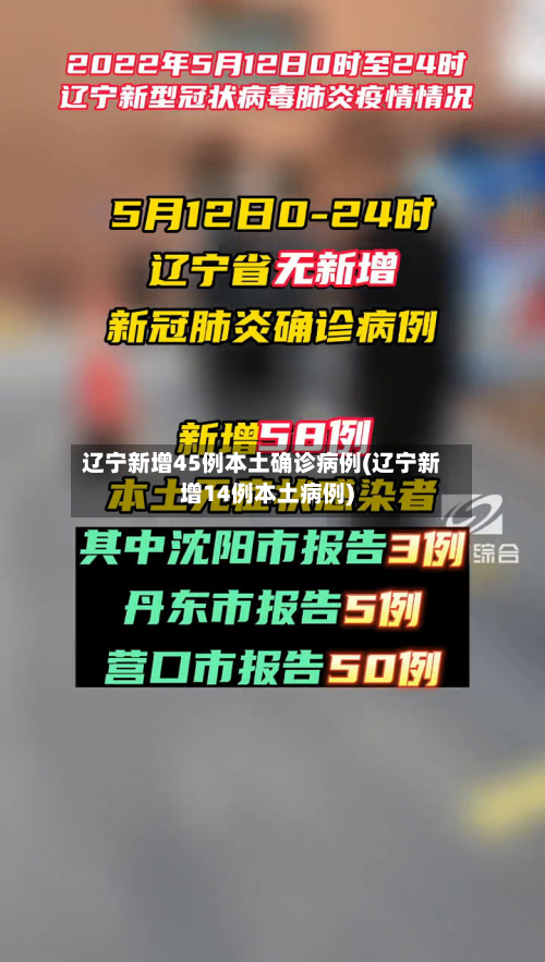 辽宁新增45例本土确诊病例(辽宁新增14例本土病例)-第2张图片