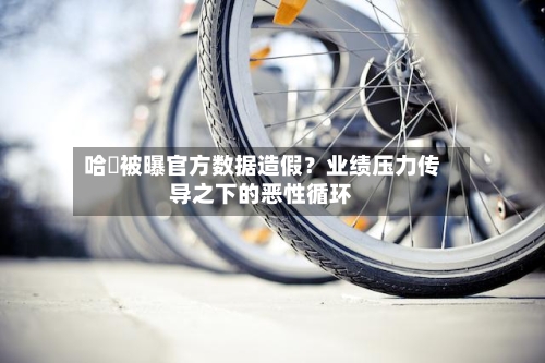 哈啰被曝官方数据造假？业绩压力传导之下的恶性循环-第2张图片