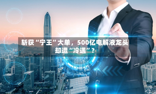 斩获“宁王”大单	，500亿电解液龙头却遭“冷遇”？-第2张图片