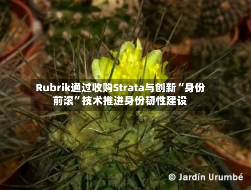 Rubrik通过收购Strata与创新“身份前滚”技术推进身份韧性建设-第2张图片