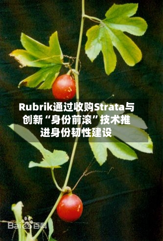 Rubrik通过收购Strata与创新“身份前滚	”技术推进身份韧性建设-第3张图片