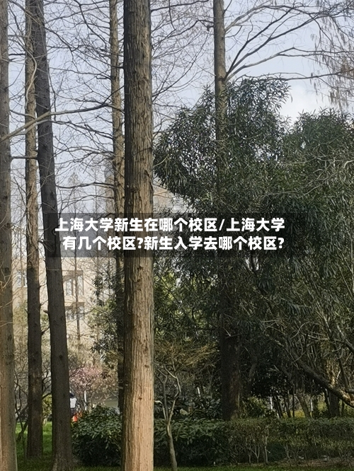 上海大学新生在哪个校区/上海大学有几个校区?新生入学去哪个校区?-第2张图片