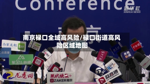 南京禄口全域高风险/禄口街道高风险区域地图