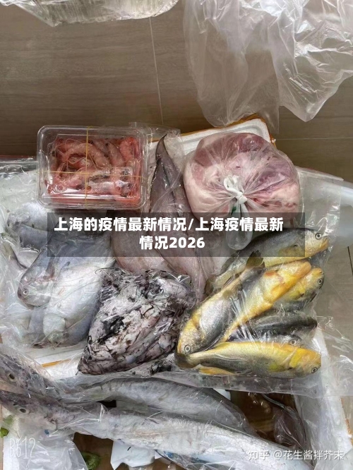 上海的疫情最新情况/上海疫情最新情况2026