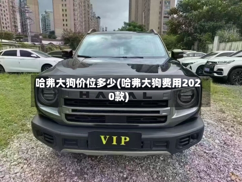 哈弗大狗价位多少(哈弗大狗费用2020款)-第2张图片