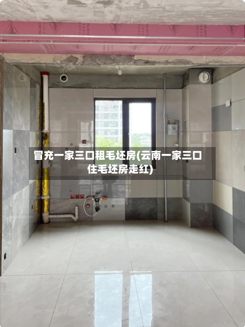 冒充一家三口租毛坯房(云南一家三口住毛坯房走红)-第2张图片