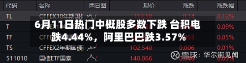 6月11日热门中概股多数下跌 台积电跌4.44%，阿里巴巴跌3.57%-第2张图片