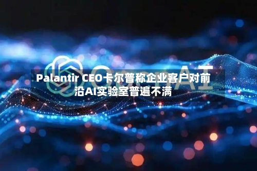 Palantir CEO卡尔普称企业客户对前沿AI实验室普遍不满