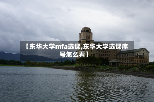 【东华大学mfa选课,东华大学选课序号怎么看】