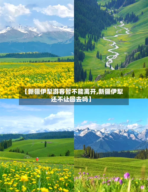 【新疆伊犁游客暂不能离开,新疆伊犁还不让回去吗】-第2张图片