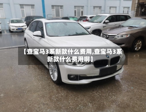 【查宝马3系新款什么费用,查宝马3系新款什么费用啊】