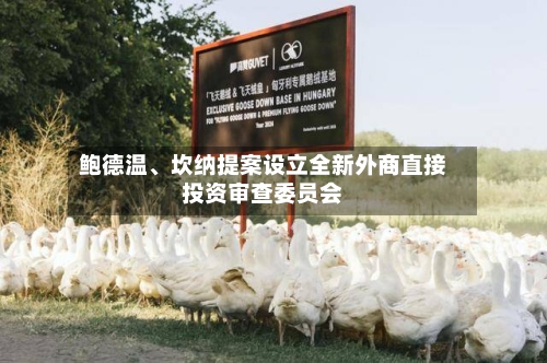 鲍德温、坎纳提案设立全新外商直接投资审查委员会