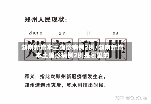 湖南新增本土确诊病例2例/湖南新增本土确诊病例2例是哪里的