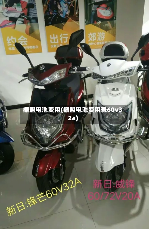 振盟电池费用(振盟电池费用表60v32a)-第2张图片