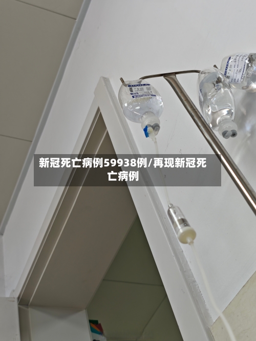 新冠死亡病例59938例/再现新冠死亡病例-第2张图片