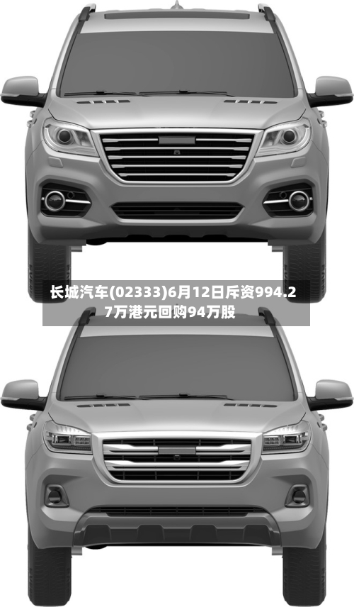 长城汽车(02333)6月12日斥资994.27万港元回购94万股