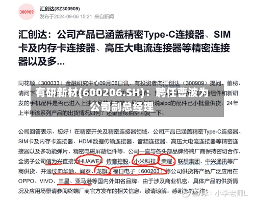 有研新材(600206.SH)：聘任曹波为公司副总经理